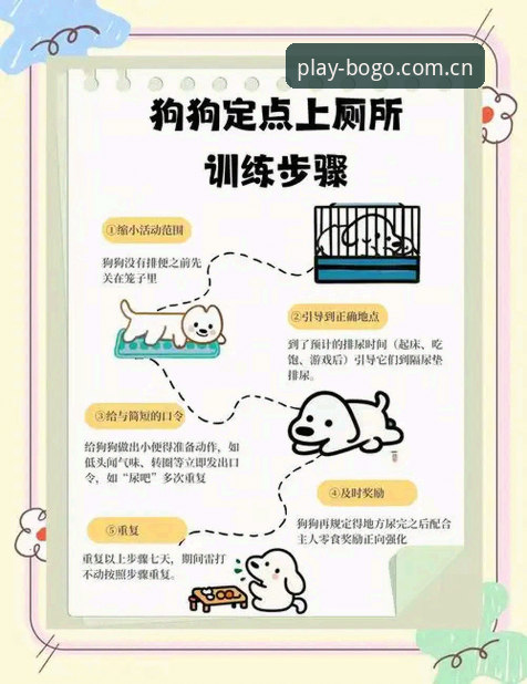 博狗体育官网访问异常详解：原因分析与解决方案